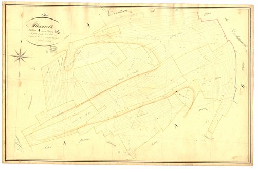 3_P_2-3-04.jpg
