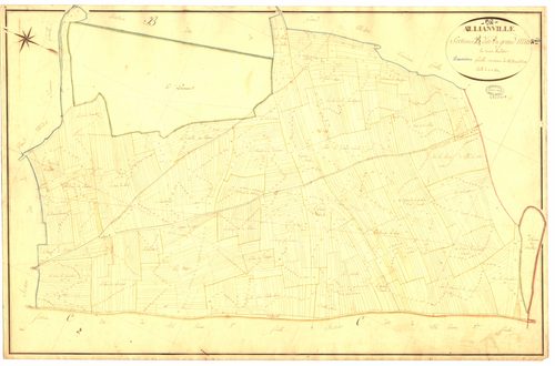 3_P_2-3-07.jpg