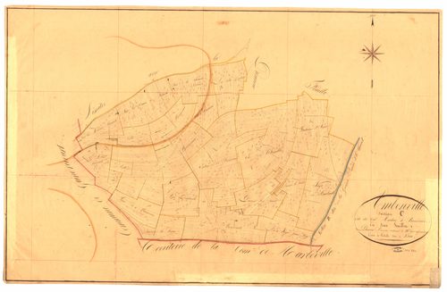 3_P_2-7-22.jpg