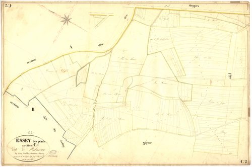 3_P_2-193-19.jpg