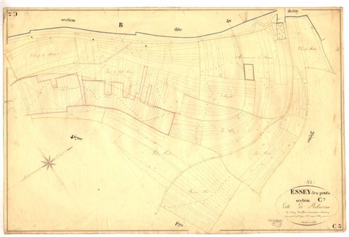3_P_2-193-20.jpg