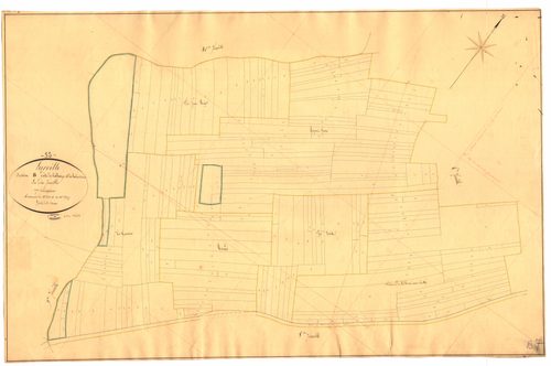 3_P_2-195-12.jpg