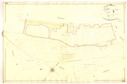 3_P_2-259-46.jpg