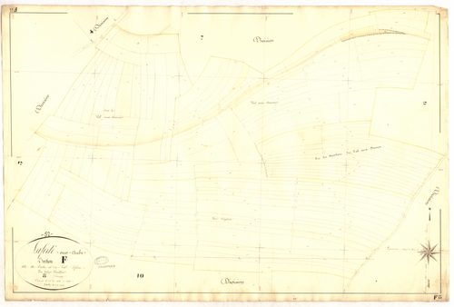 3_P_2-259-51.jpg