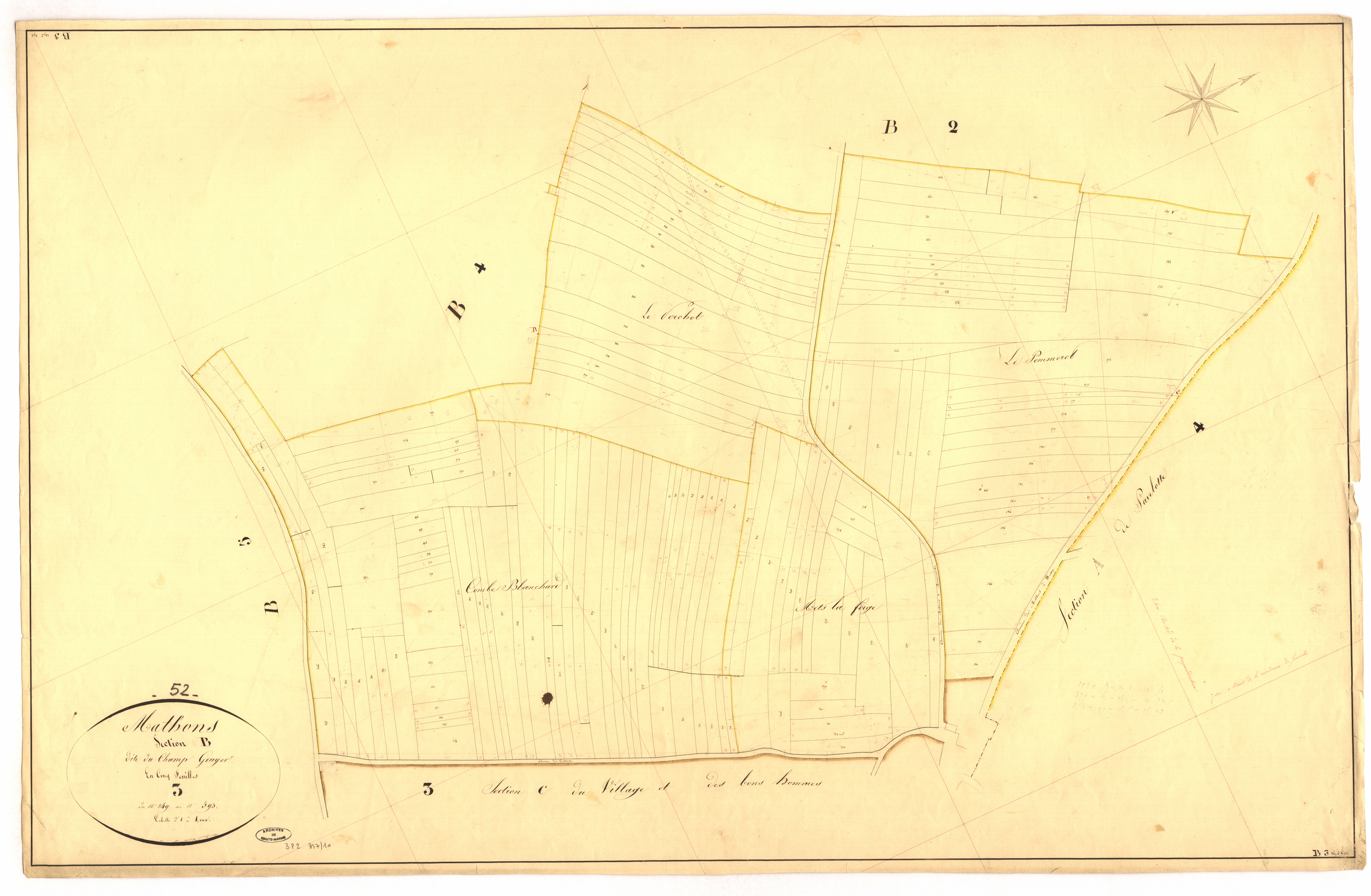 3_P_2-317-10.jpg