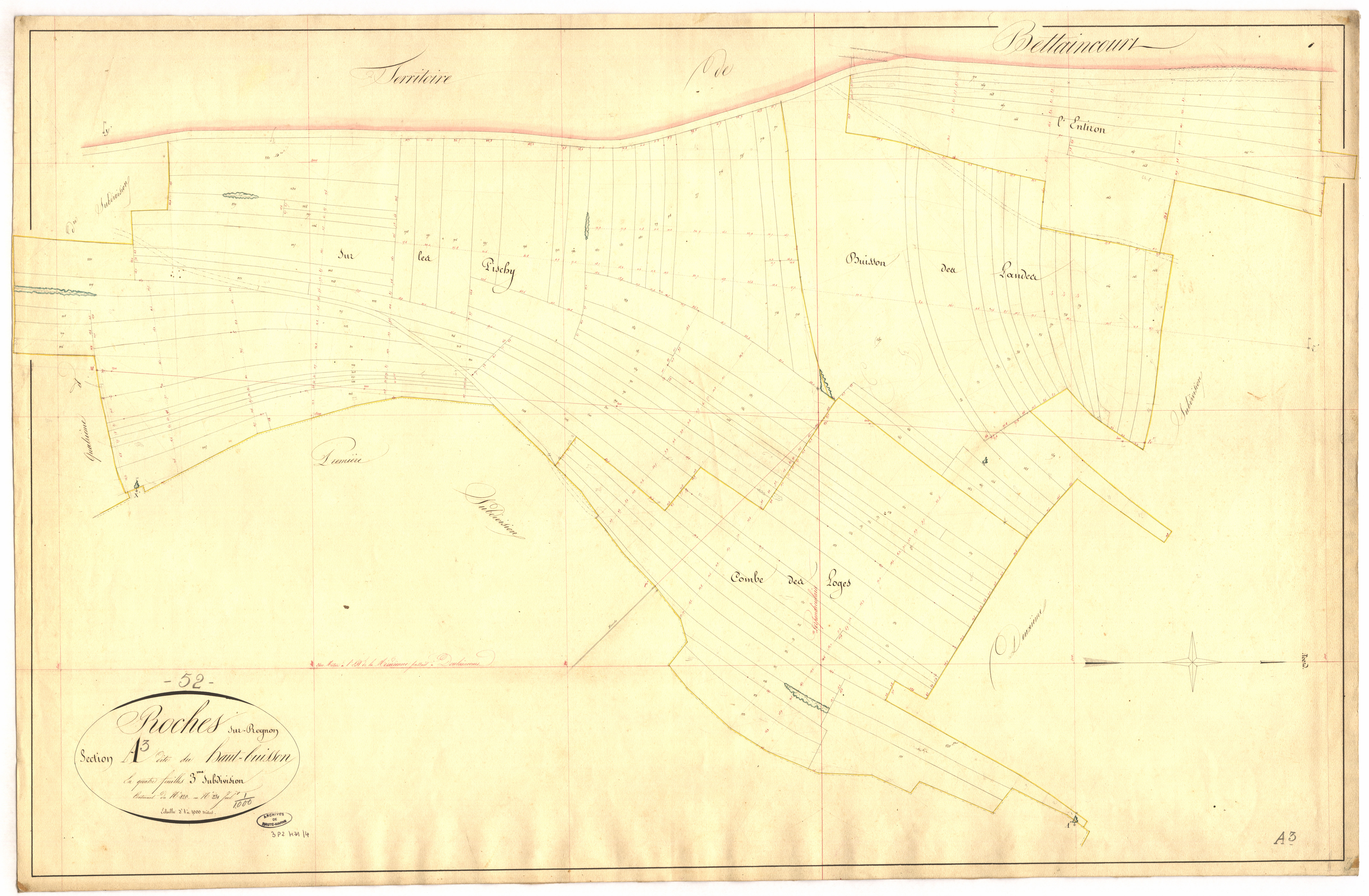 3_P_2-431-04.jpg