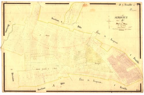 3_P_2-471-31.jpg
