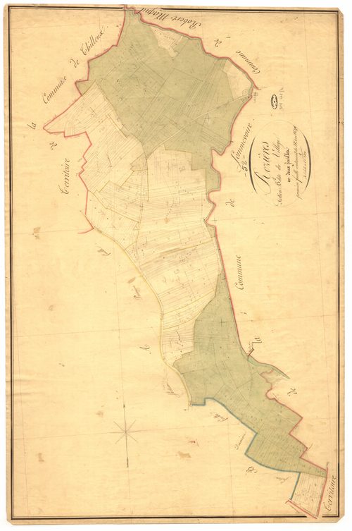3_P_2-442-04.jpg