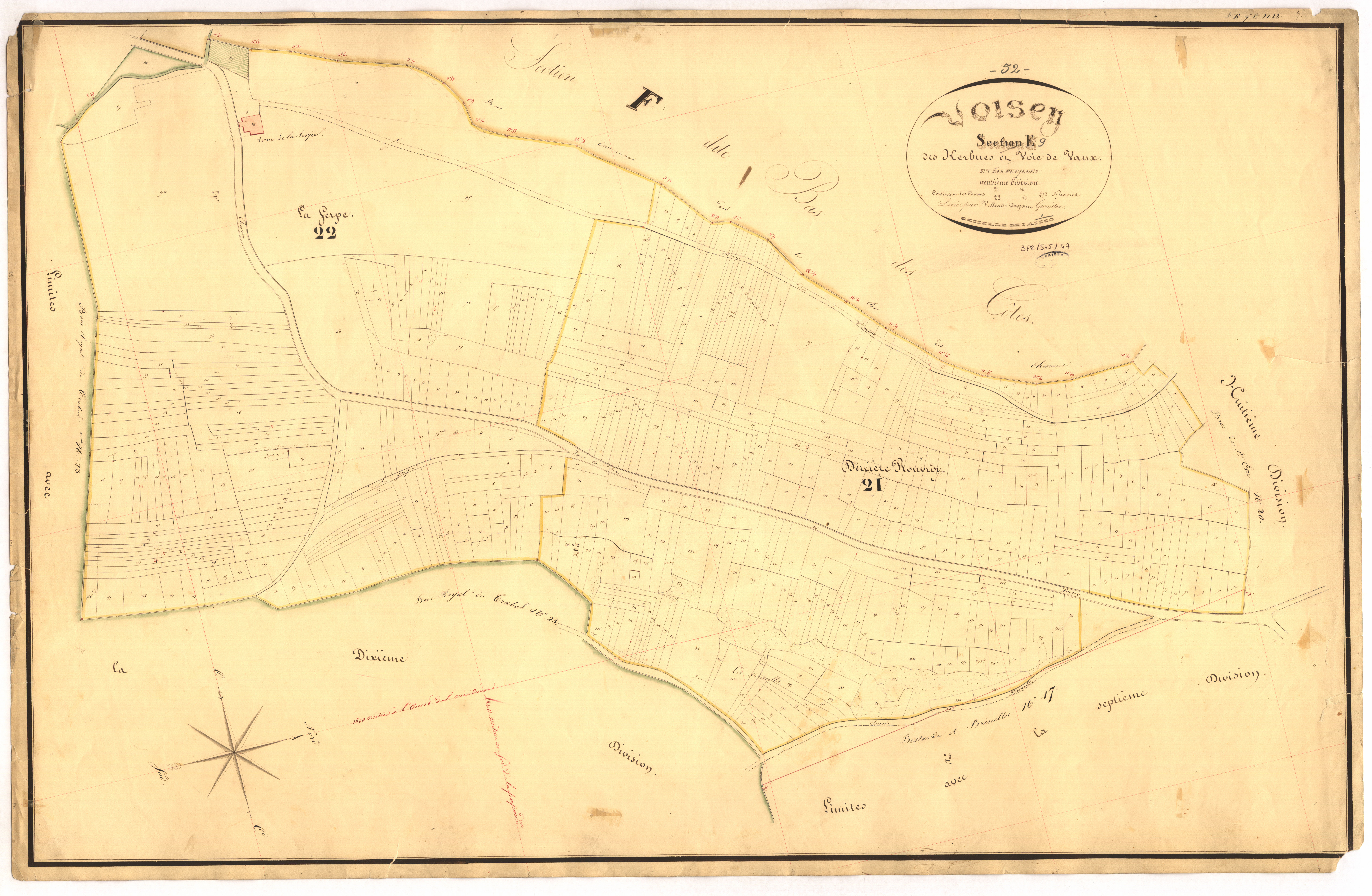 3_P_2-545-47.jpg
