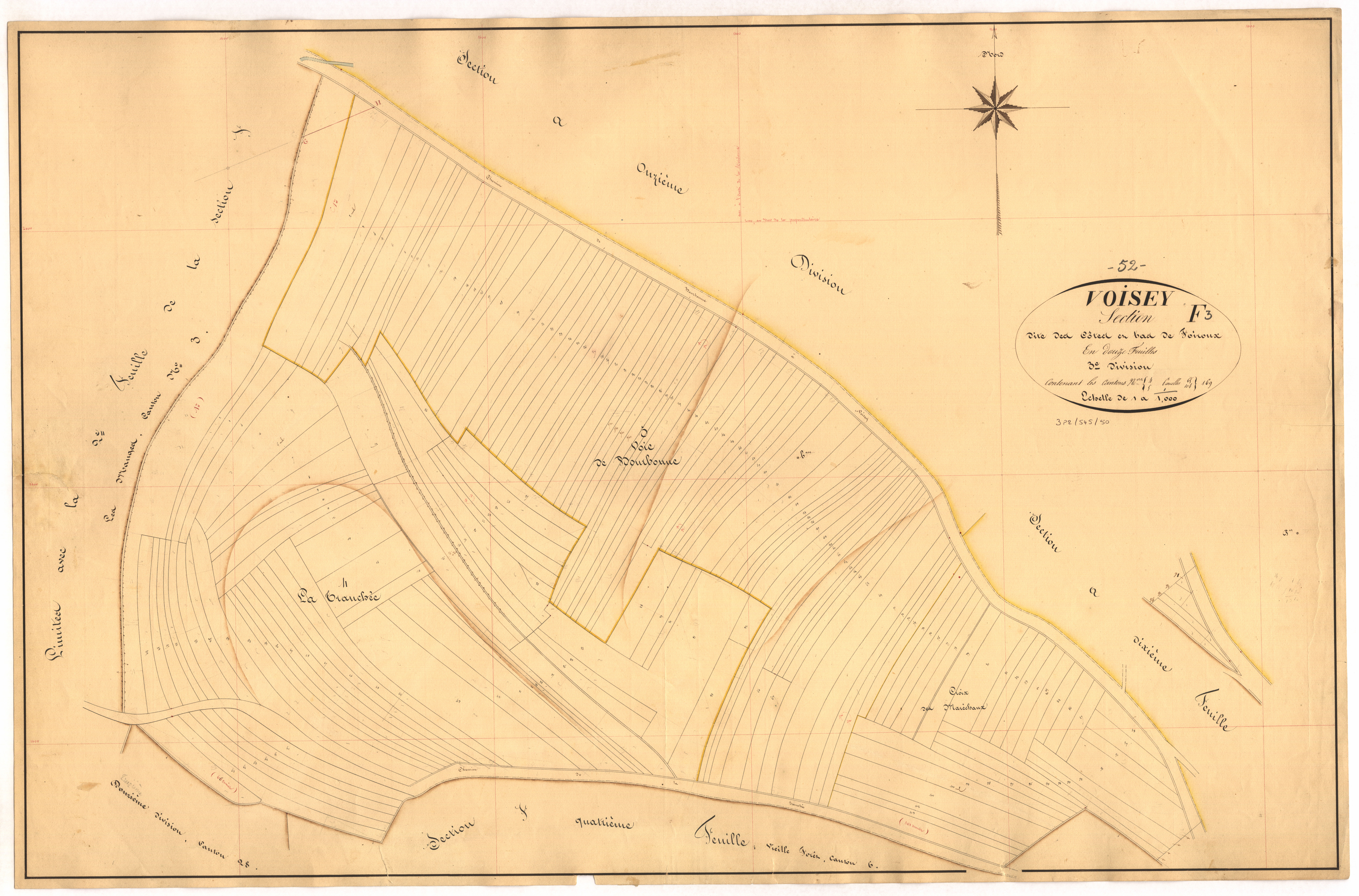 3_P_2-545-50.jpg