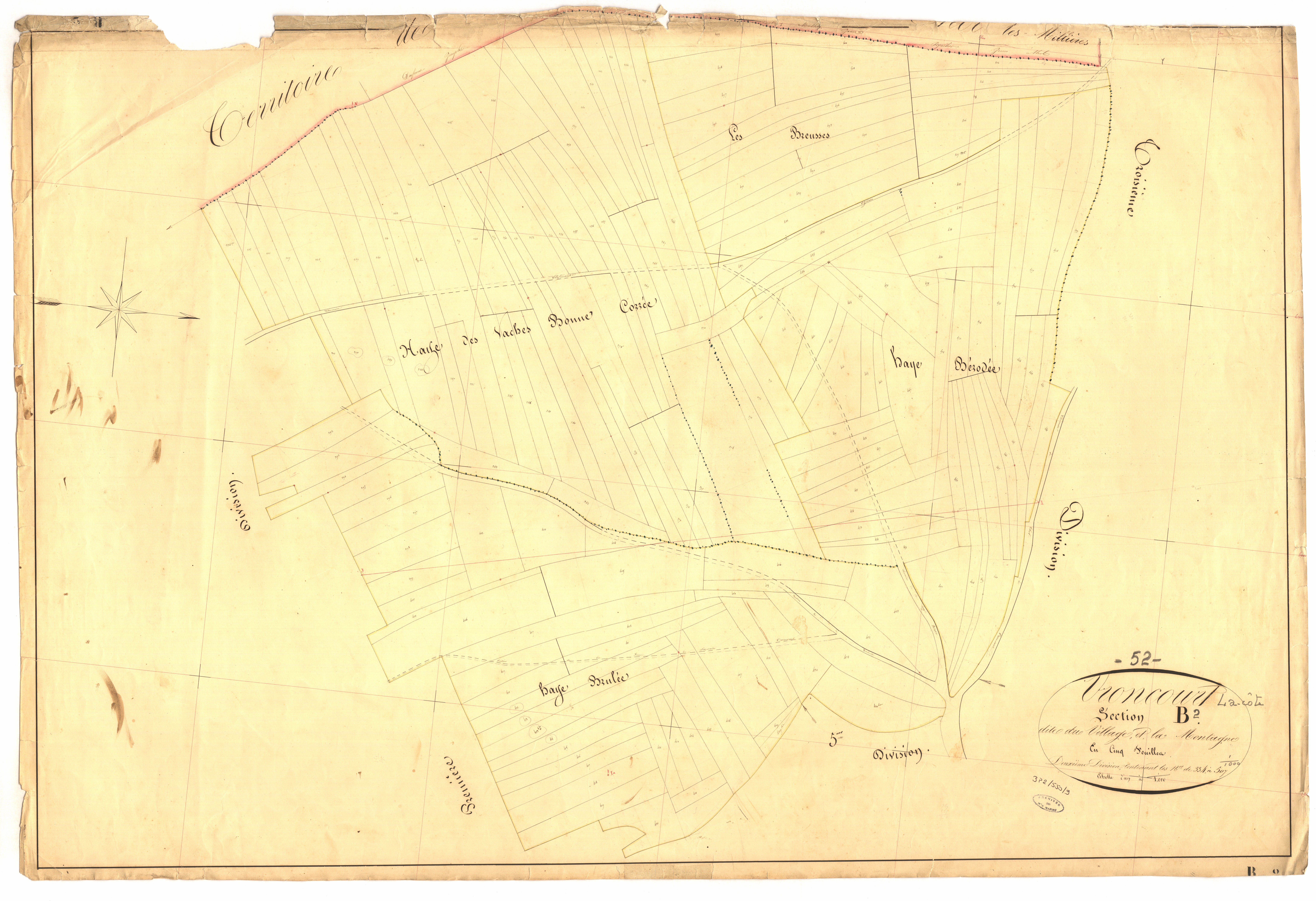 3_P_2-550-09.jpg