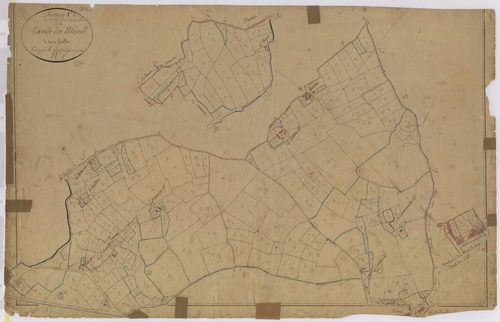 Section C2 - Lande du Ménil (la)