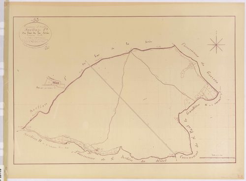 Section C3 - Bas de la forêt (le)