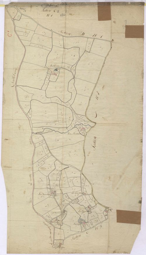 Section C1 - Sapinière (la)