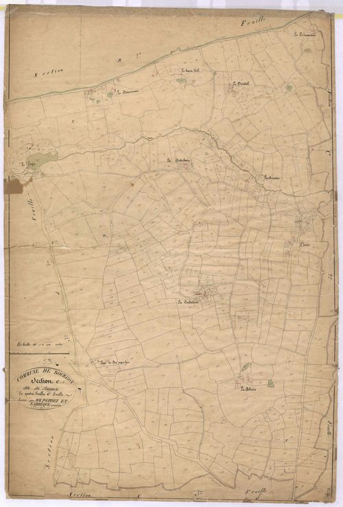 Section C1 - Bignon (le)