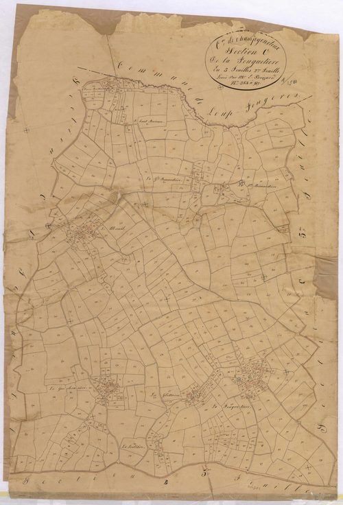 Section C2 - Fouquetière (la)