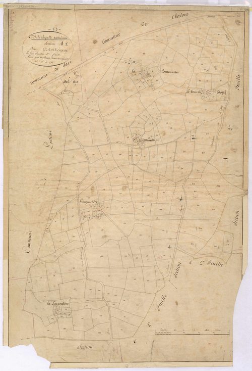Section A1 - Anthénaise