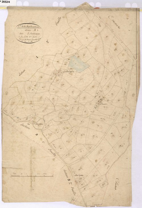 Section A3 - Anthénaise