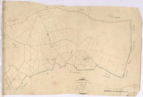 Section B1 - Bois (les)
