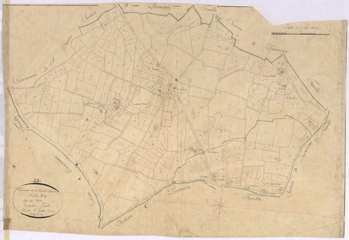 Section B3 - Bois (les)