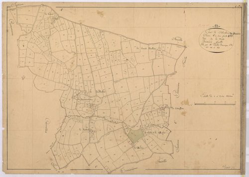Section C2 - Motte (la)
