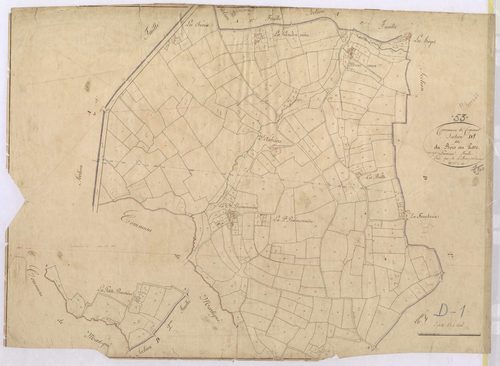 Section D1 - Bois-au-Parc (le)