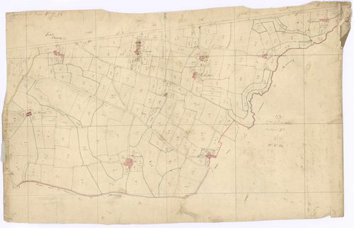 section D4