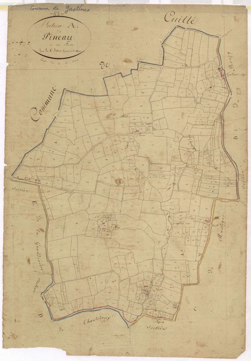 Section Au - Pineau