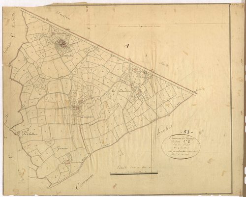 Section C1 - Bois (le)