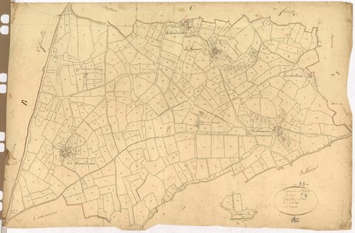 Section C2 - Bois (le)