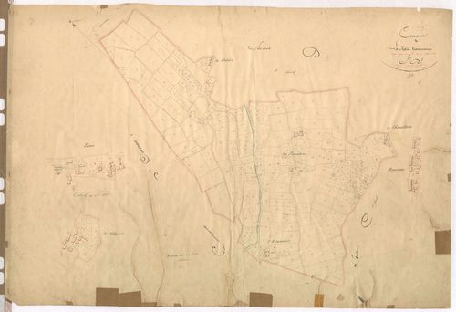 Section D1 - Tanis