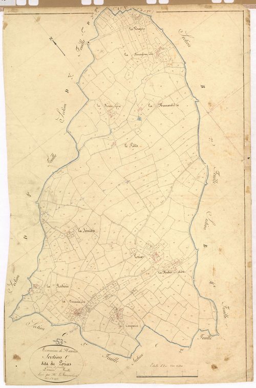 Section C1 - Lorias