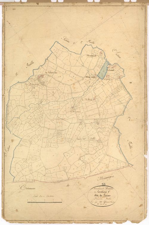 Section C2 - Lorias