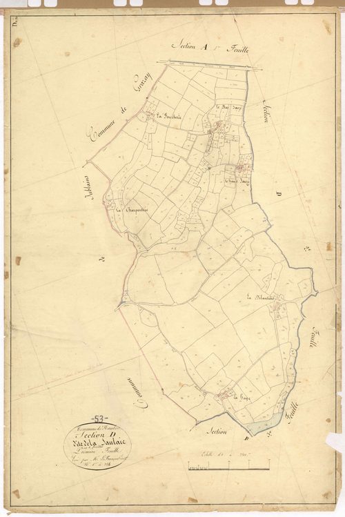 Section D1 - Saulaie (la)