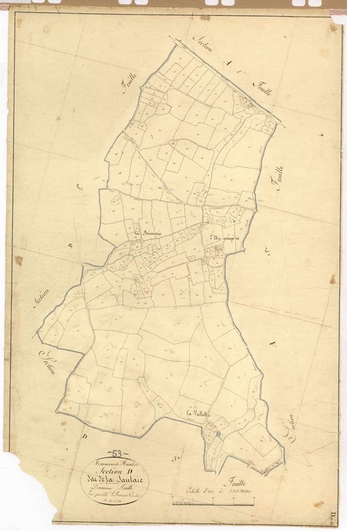 Section D2 - Saulaie (la)