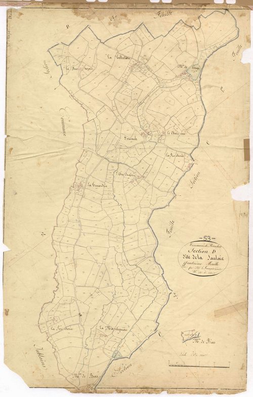 Section D4 - Saulaie (la)