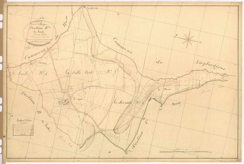 Section B2 - Saule (la)