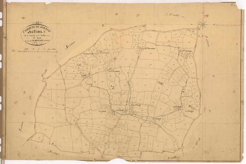 Section C2 - Courcelle