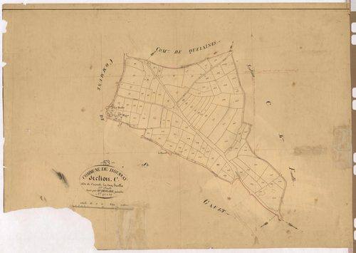 Section C5 - Courcelle