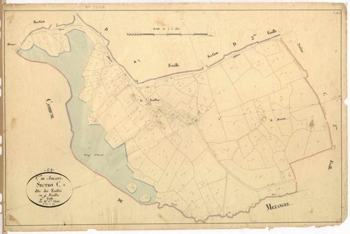 Section C4 - Ecottés (les)