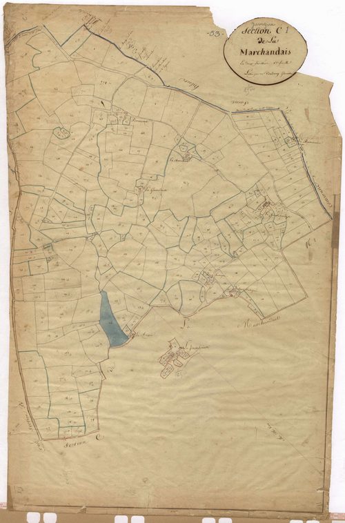 Section C1 - Marchandais (le)