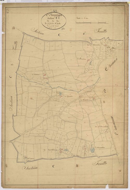 Section C2 - Bois (les)