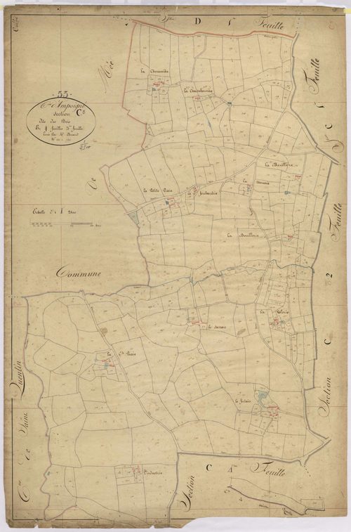 Section C3 - Bois (les)