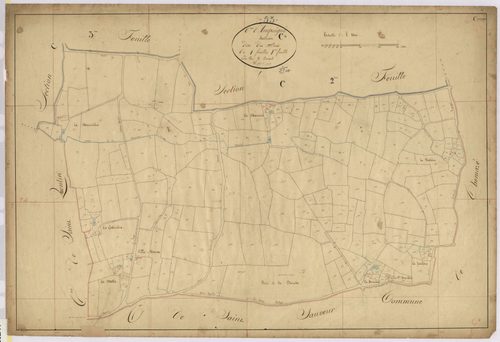 Section C4 - Bois (les)