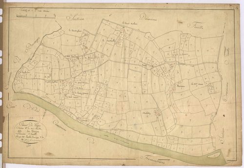 Section C1 - Poiriers (les)