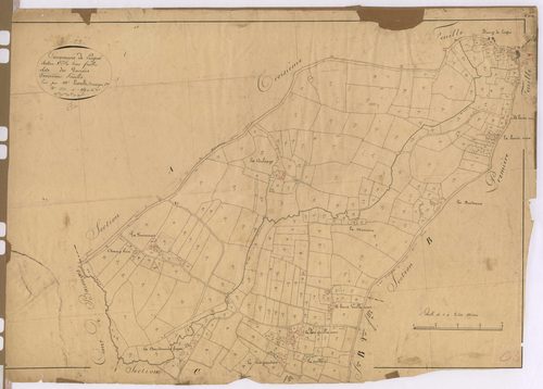 Section C3 - Poiriers (les)