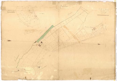 Section A1 - Bois (des)
