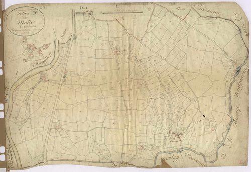 Section D2 - Motte (la)
