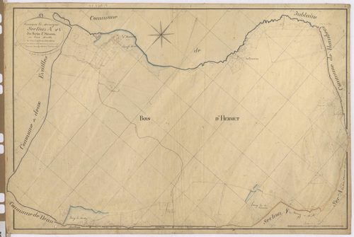 Section A1 - Bois-d'Hermet (le)