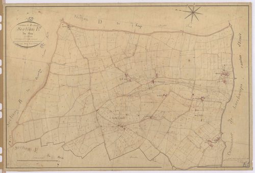Section E1 - Bois (le)